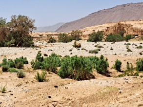 Oued Siyad 27 avril.